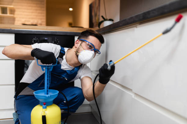 Best Rat Extermination Near Me  in Emerd Mountain, AL