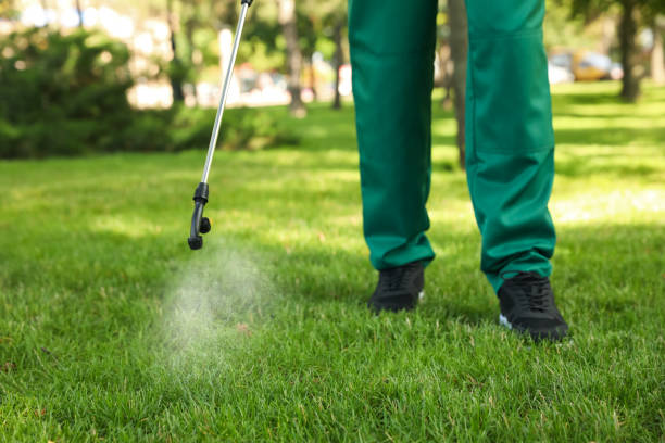 Best Wildlife Control Services  in Emerd Mountain, AL