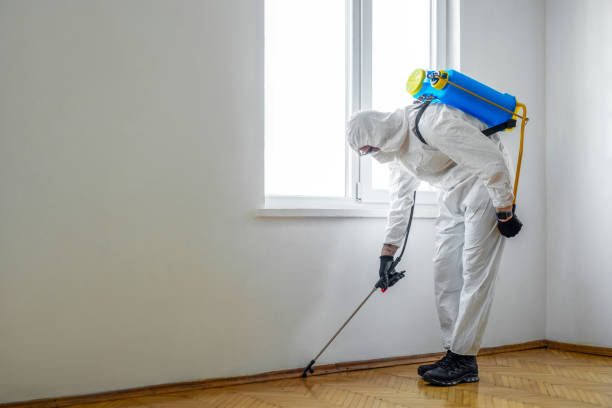 Best Pest Control Near Me  in Emerd Mountain, AL