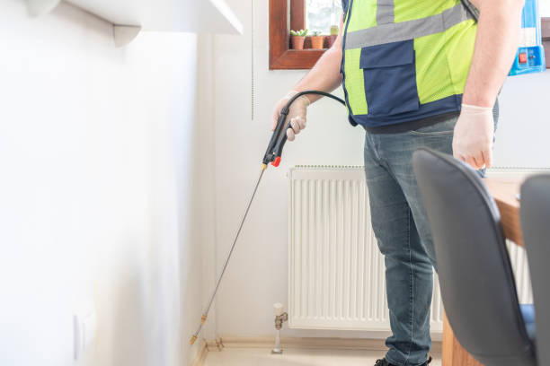 Best Affordable Pest Control Services  in Emerd Mountain, AL