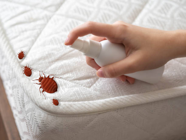 Best Commercial Pest Control Services  in Emerd Mountain, AL