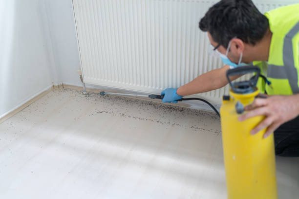 Best Exterminator Services  in Emerd Mountain, AL