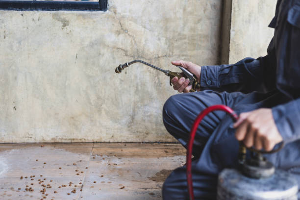 Best Rat Extermination Near Me  in Emerd Mountain, AL